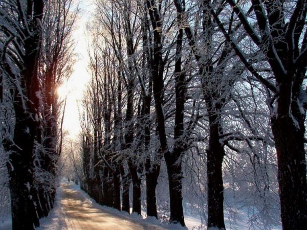 Droga do Wieszyna zimą