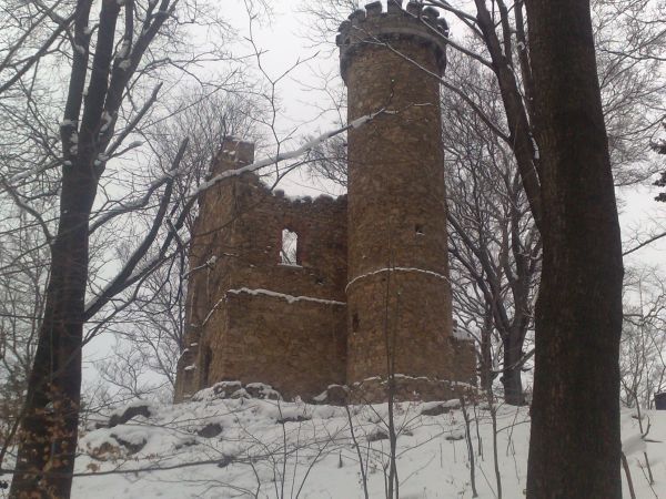 Ruiny zamku ks. Henryka