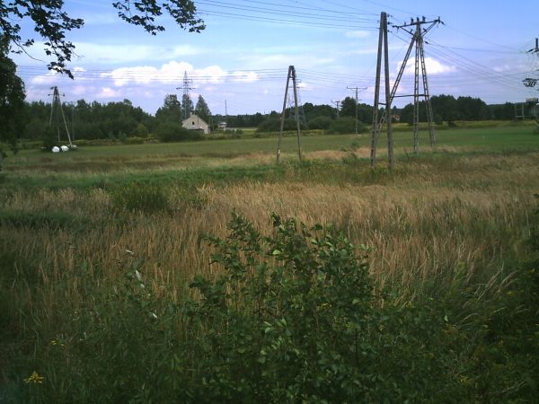zdjecie Stare Siołkowice