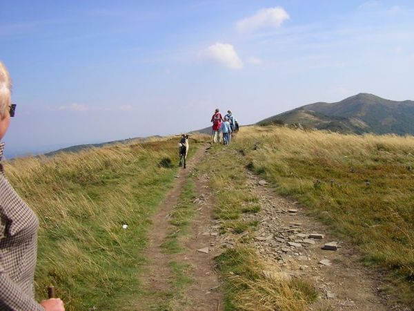 Turysta cap na szlaku spotkaliśmy go kilka razy
