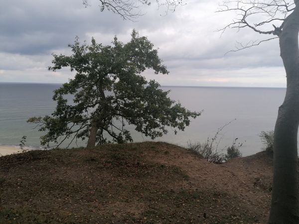 Jastrzębia Góra 2020 - 2018