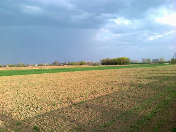 Pejzaże Brzostkowa -perspektywa Zamościa