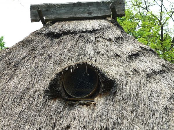 Stara , zabytkowa zagroda chłopska z XIX wieku , we wsi Guciów na Lubelszczyźnie. Obecnie muzeum wsi.