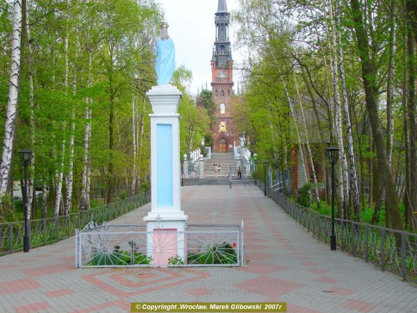 zdjecie Licheń Stary