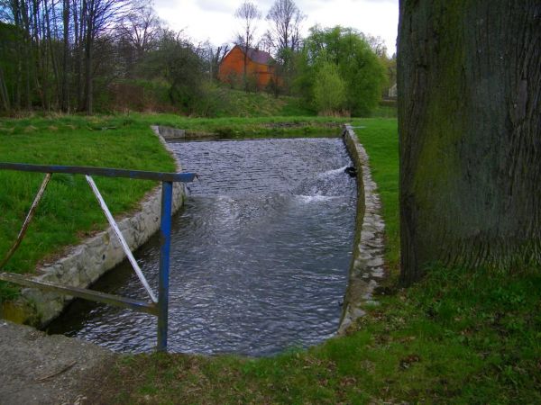 cisza spokój jedynie pieski mnie oszczekały aut chyba jedno mnie minęło i potok co coś mówił po swojemu