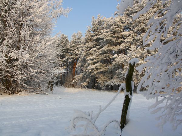 zdjecie Tyniewicze Duże