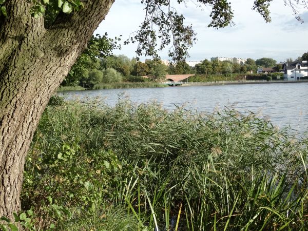 Sępólno Krajeńskie - most nad Krajenką.