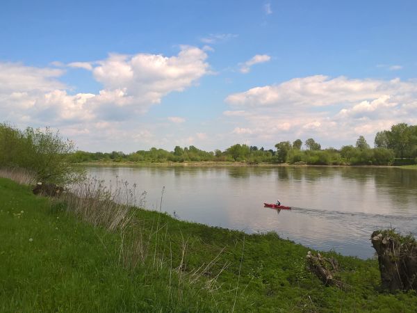 Kajaki na Wisłę przypłynęły z Nidy i tym akcentem rozpoczęły sezon w piękną majową sobotę .