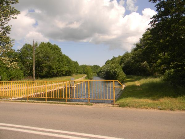 Żarnowiec   czerwiec 2011