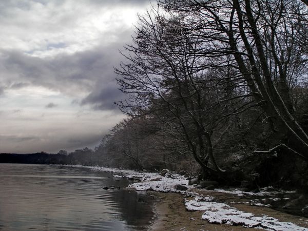 Zimowy dzień nad zatoką