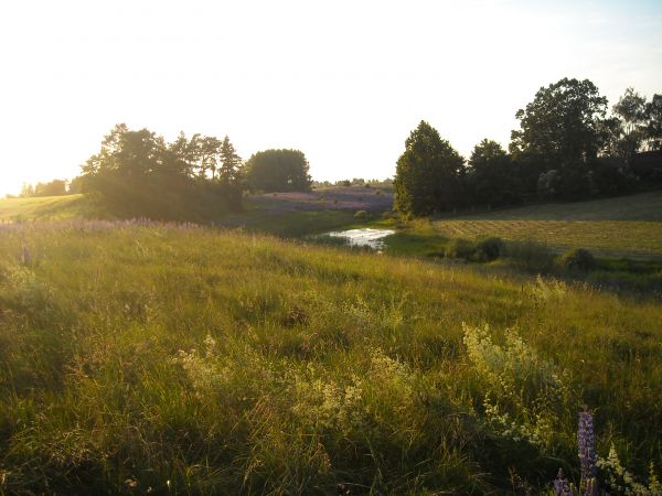 zdjecie Konopki Wielkie