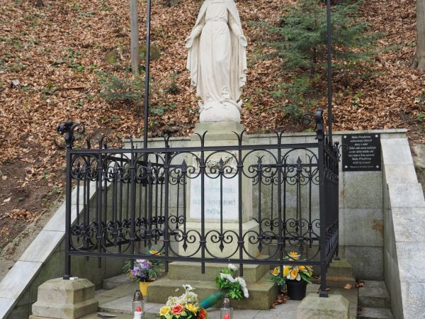 kapliczka zdrojowa ze statuą Matki Boskiej Przedziwnej, z 1891r., na skraju parkowego  zbocza, przy pijalni wód mineralnych i Pawilonie nad źródłami.