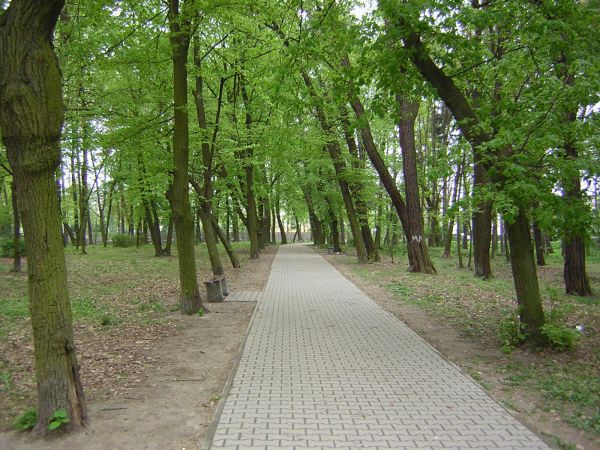 zdjecie Sulechów