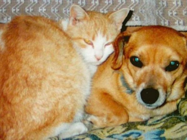 Mieszkańcy Leopoldowa