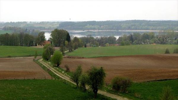 zdjecie Widryny