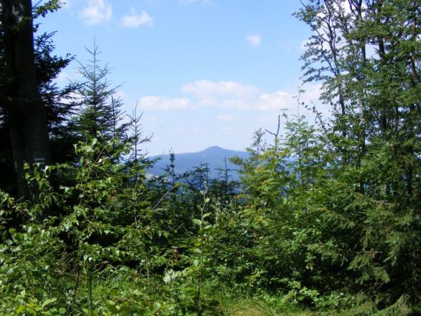 Widok z Modyni na Mogielicę