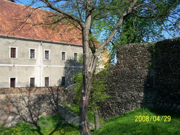 Zamek od strony północno-wschodniej. Widoczny fragment fosy i murów obronnych.