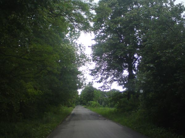 Okolica zapiera dech w piersiach