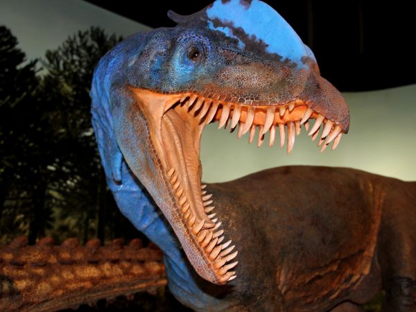 zdjecie Starachowice