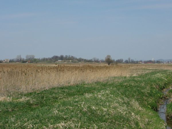 potok/struga stanowi granicę wsi, kiedyś - do II w.św. - pełne siana, brogi pełne zboża, w stajniach 100 koni /cugowych - do bryczki i fornalskich - do pracy w