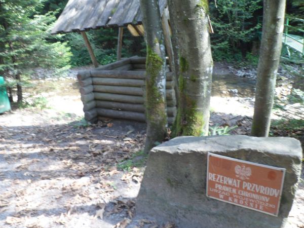 przez mostek nad Rabskim Potokiem na "Gołoborze" - Rezerwat geologiczny, tu zaś studnia symbolizuje źródła wód mineralnych - są to szczawy arsenowo- żelaziste i