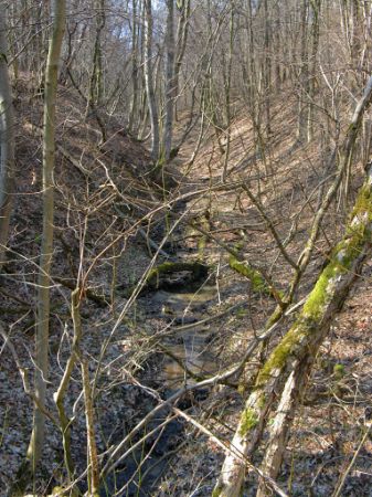 struga Bełchowskiego Potoku - "za chwilę" z wodami większego potoku Modrza się złączy a ten w m. Prusiek do Niebieszczańskiego Potoku wpadnie a później w m. Mar
