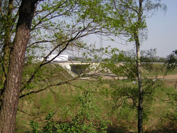 zdjecie Sulechów