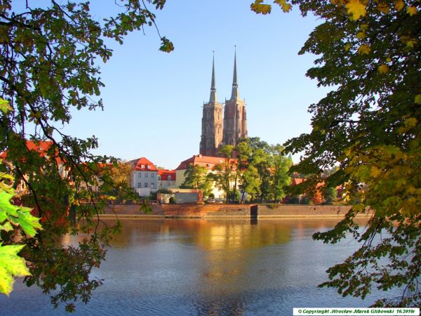 Widok na katedrę z bulwara X.Dunikowskiego