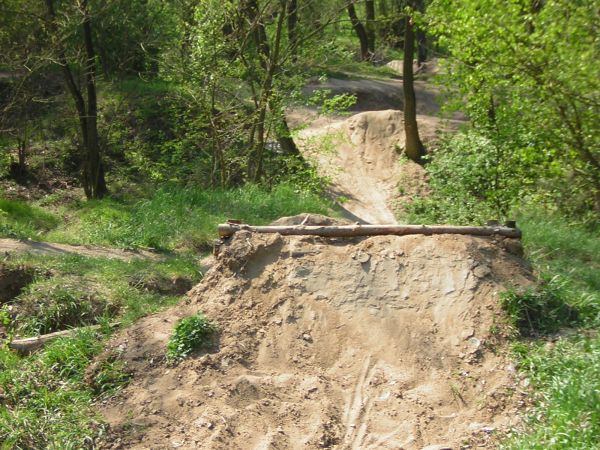zdjecie Sulechów