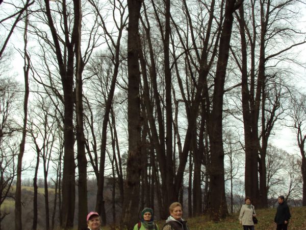 w parku dworskim - uważa się, że obok parku przy zamku w Lesku zaliczany jest do najbardziej interesujących parków rezydencjonalnych w Bieszczadach. Zapraszam t