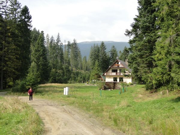 "Orawska Knieja" z Babią Górą w tle. Kiczory Polana