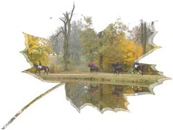 Zajazd huculski Swoboda w Hawłowicach