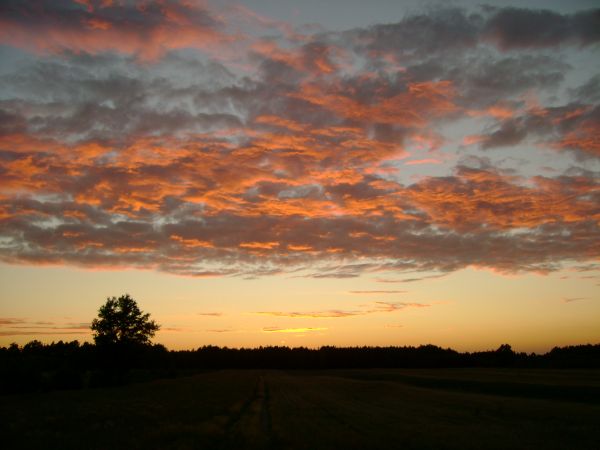 Zdjęcia Wola Kamocka