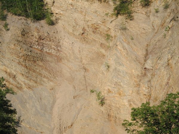 Skała Olzy - w występujących tutaj przełomach Wisłoka można podziwiać kilkudziesięciometrowe ściany skalne, z których Olzy są największą w polskich Karpatach od