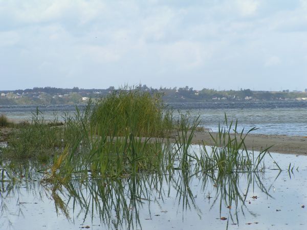 Plaża po jesiennym deszczu