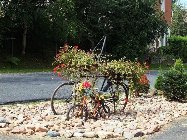 Preferowany w miejscowości środek lokomocji