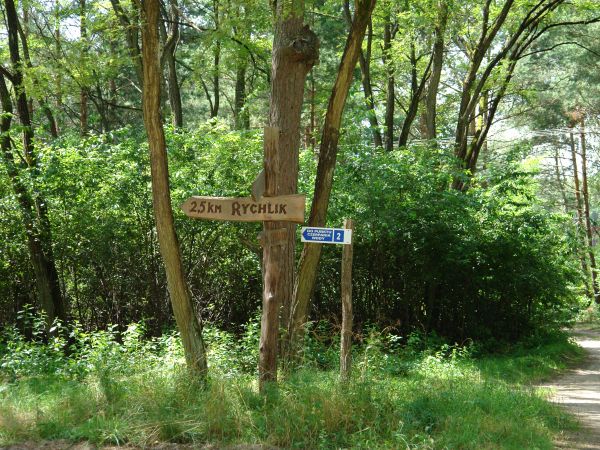 Rychlik i okolice - fot. Jacek Żelazkiewicz