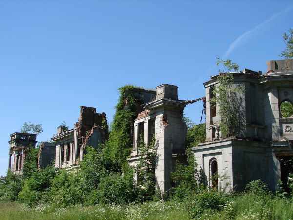 Ruiny pałacu Karskich 2011