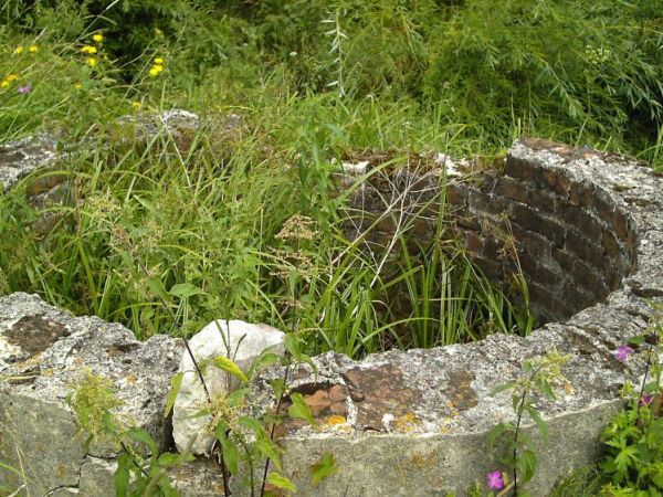 zdjecie Orłów Murowany