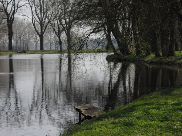 Rakoniewice, staw w parku.