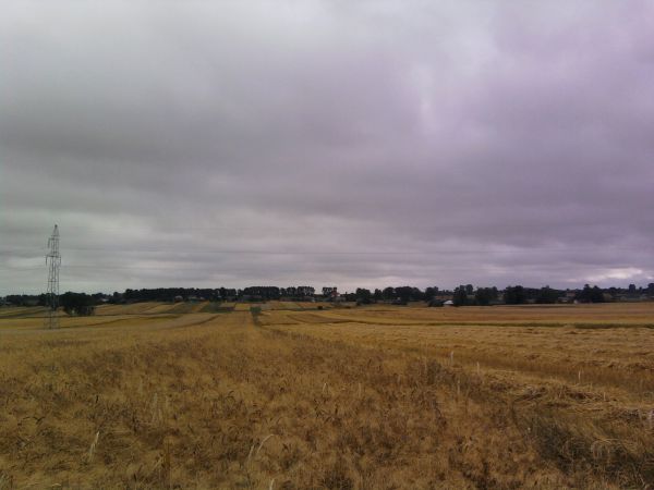 Wśród pól i lasów można dobrze odpocząć