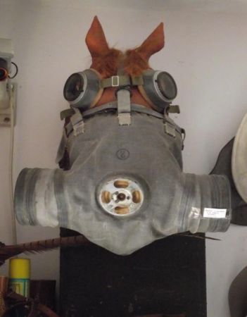 wśród eksponatów - ponad 1000 okazów, założyciel, pasjonat i kustosz - w jednej osobie - ciekawie opowiada,przedstawia dzieje i pochodzenie zbiorów - czy wiemy,