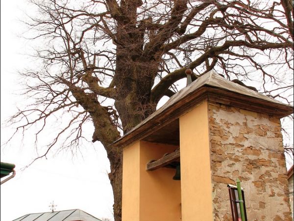 Cerkiew greckokatolicka p.w. Soboru Bogarodzicy w Hłomczy , zbudowana w 1859 r. Obok cerkwi wzniesiono w tym samym czasie dzwonnicę murowaną, w której wiszą trz