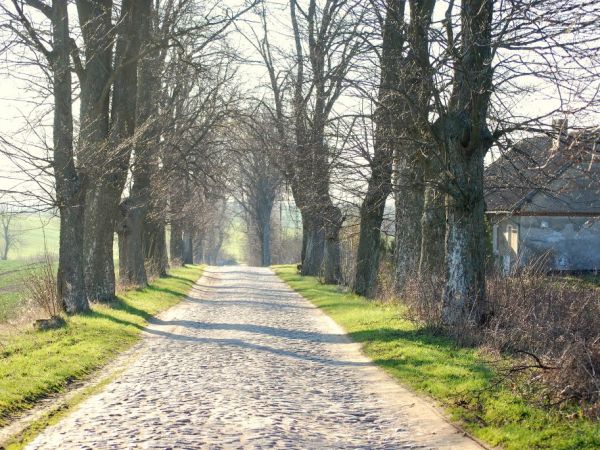 Blunaki - odcinek starej kamiennej drogi.