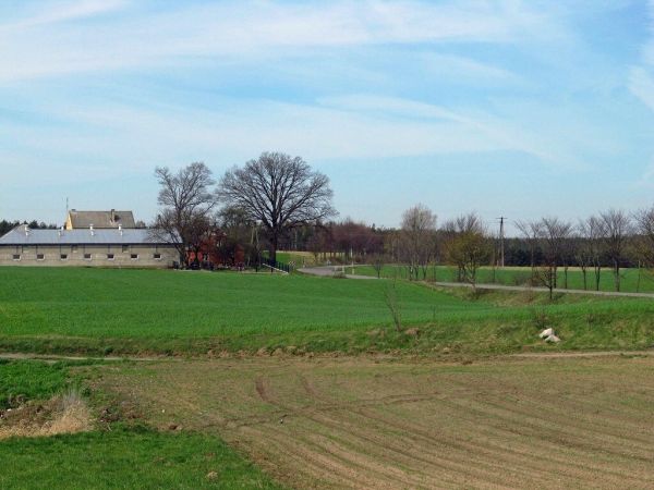 Pola i droga do Wiela