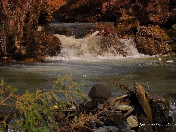 Potok Biała Woda