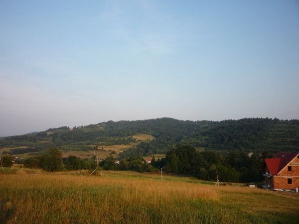 Palcza.  Widok na Krowią Górę.