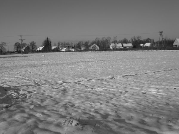zdjecie Stare Siołkowice