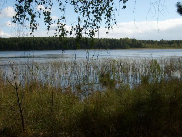 Gleboko w lasach: Tuszynek, urokliwe jeziorko