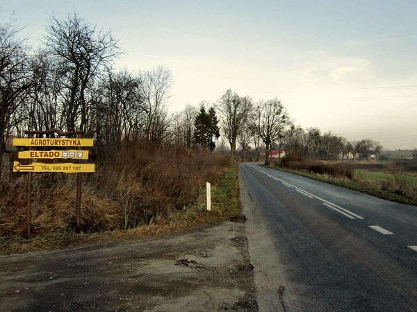 Widok przed Pieckowem,szosa 594 z Świętej Lipki oddalonej 3 km.od Pieckowa.